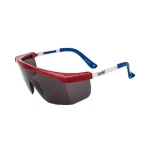 Gafas policarbonato OSCURA